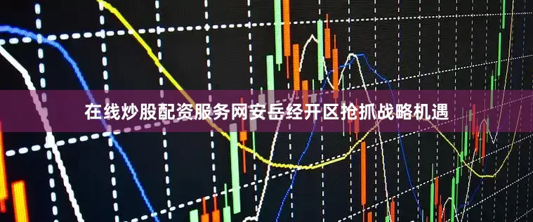 在线炒股配资服务网安岳经开区抢抓战略机遇
